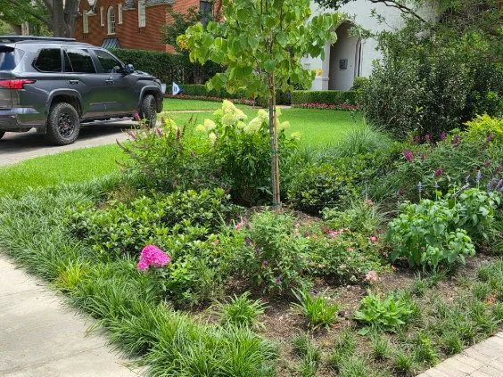 A mix of foliage and flowering plants along a sidewalk.
