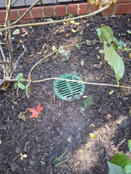 A surface drain within a planting bed.