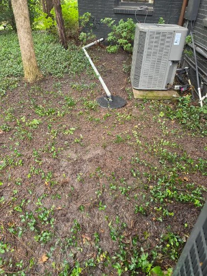 Groundcover and trees soften a utility area beside the house.