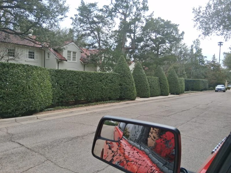 Tall hedges and sculpted greenery create a continuous planted edge along the street.