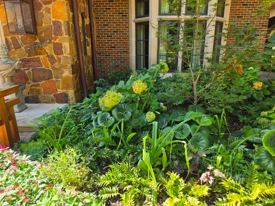 Hydrangea blooms and mixed leafy planting add layers beside a residential entrance.