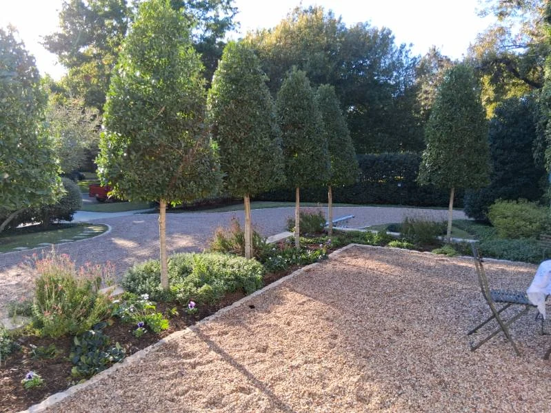 Upright trees and flowering borders frame a gravel-covered outdoor space.