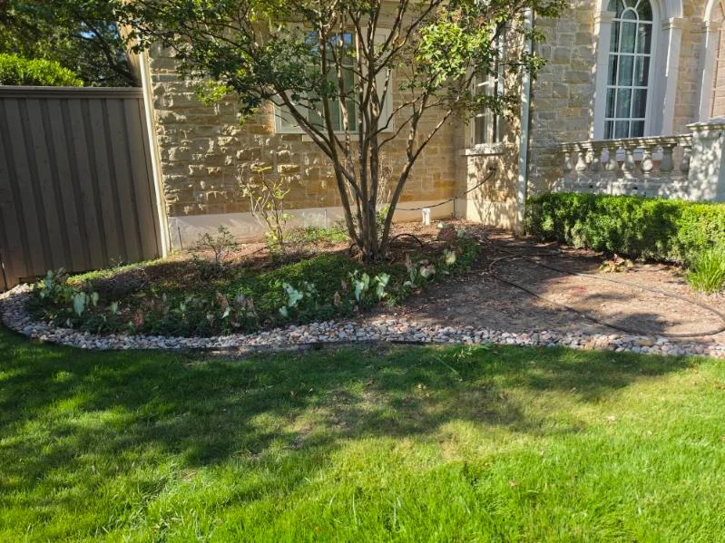 A curved stone edge separates the lawn from a bed of trees and seasonal planting.