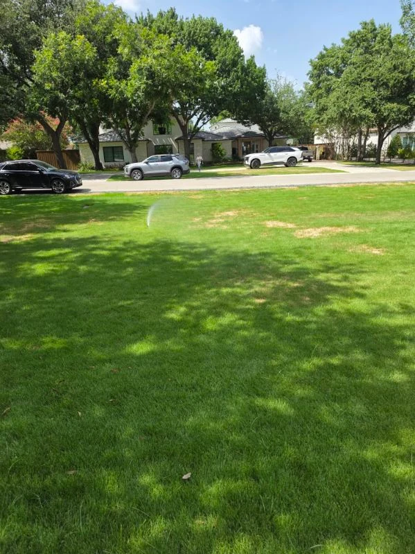 Sprinklers water an established lawn beneath mature shade trees.