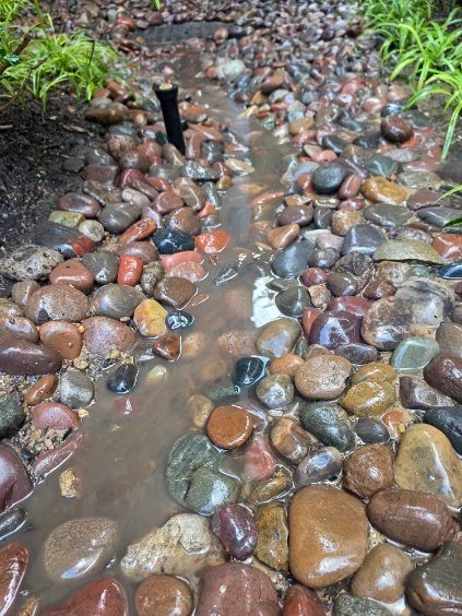 A shallow channel carries water between smooth river rocks and planting.