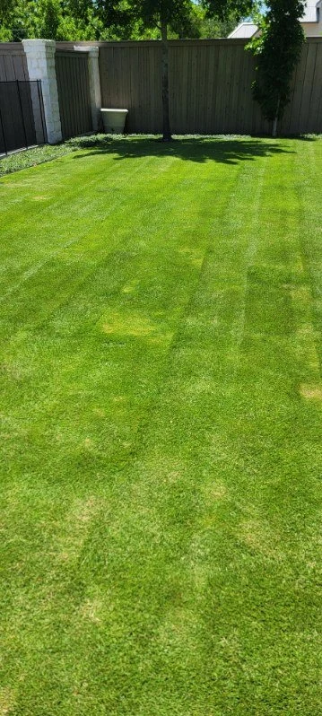 Mowing lines run across a lawn enclosed by a wooden fence.