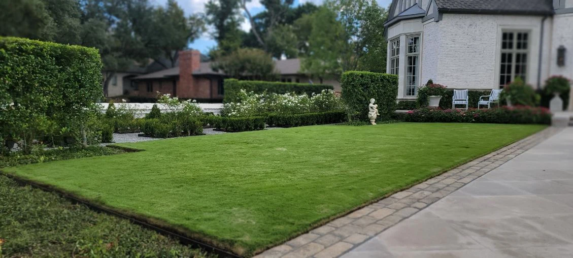 A neatly defined lawn is framed by shaped hedges and flowering shrubs.