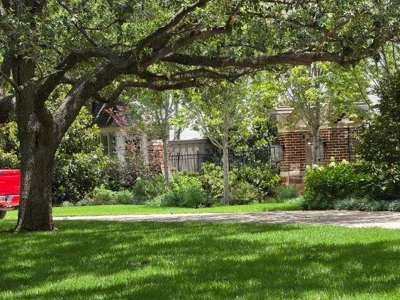 A shaded lawn opens toward established planting and a gated garden.