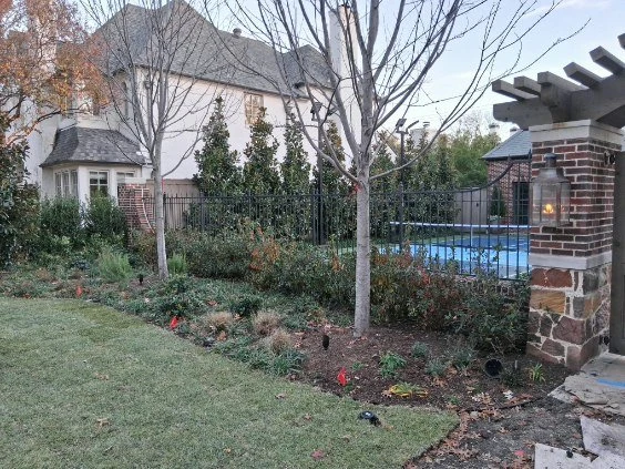 Trees and mixed planting fill a border along a fenced pool area.