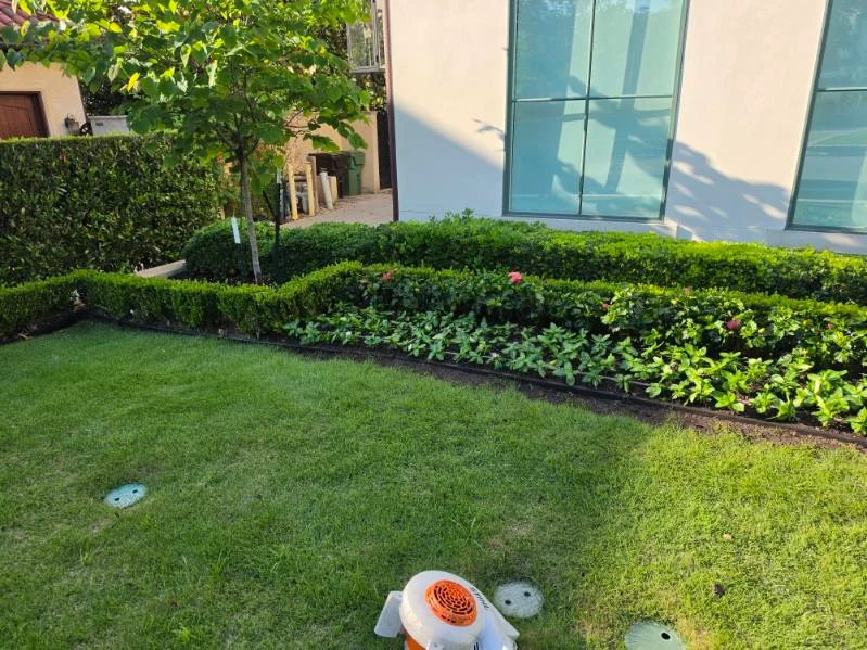 Low clipped hedges outline a planted border beside a lawn.