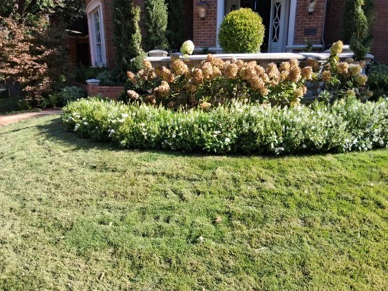 Flowering shrubs and low seasonal planting add depth to a curved front bed.