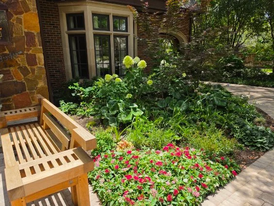 Lush flowering garden with a wooden bench and layered foliage