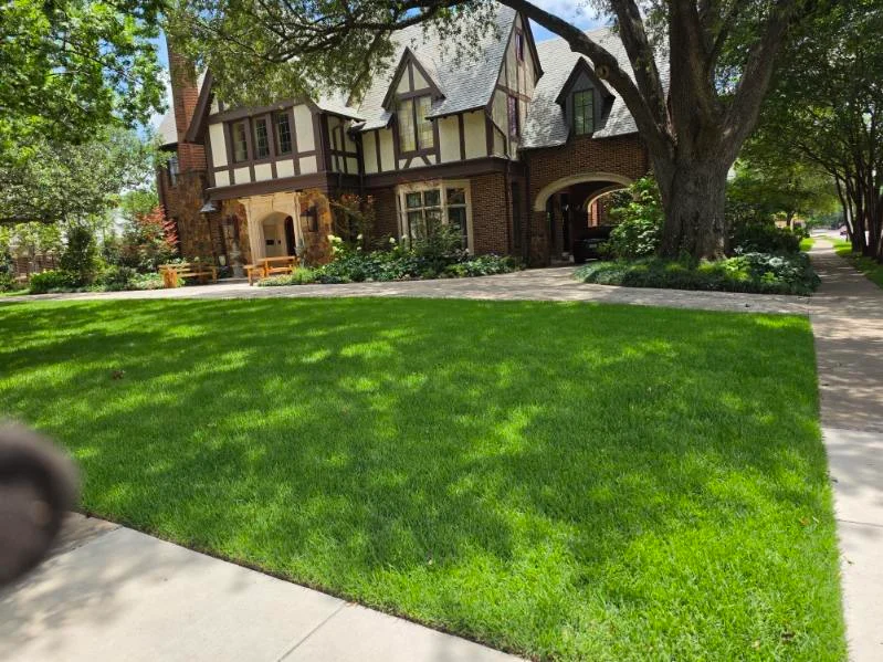 Client-supplied photograph of a landscaped front lawn and layered garden beds