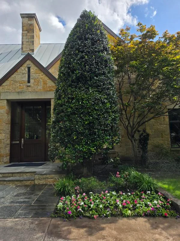 Shaped greenery with flowering plants beneath.